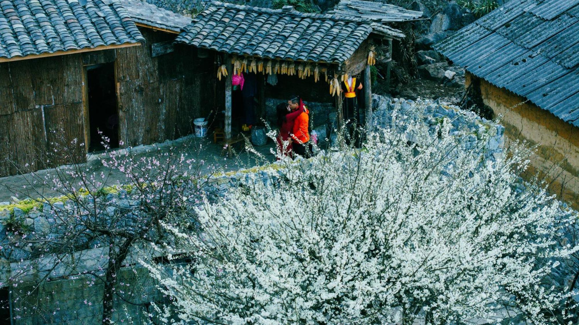 Nha Co Lao Xa Homestay Hmong & Bungalow Air Conditioner Dong Van  Eksteriør billede